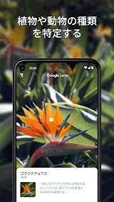 Google レンズ screenshot
