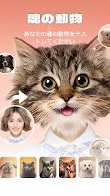 AnimalFace - face types test screenshot