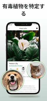 Plantiary: 植物識別子, 花、昆虫 screenshot