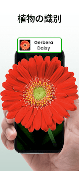 Plantiary: 植物識別子, 花、昆虫 screenshot