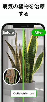Plantiary: 植物識別子, 花、昆虫 screenshot