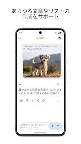 Google Gemini screenshot