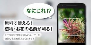 GreenSnap - 植物・花の名前が判る写真共有アプリ screenshot